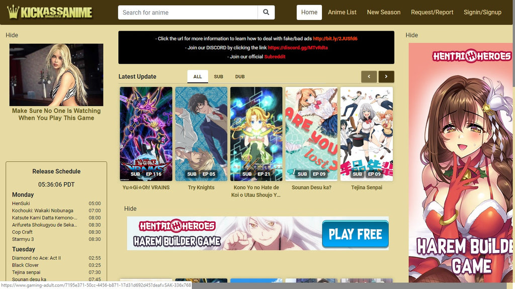 Anime Hentai Website